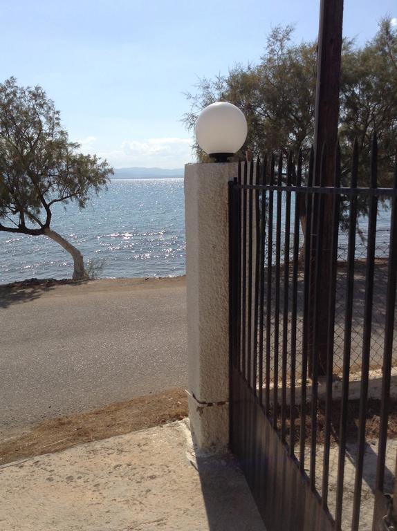 Villa Vlichos Amarynthos Exteriör bild