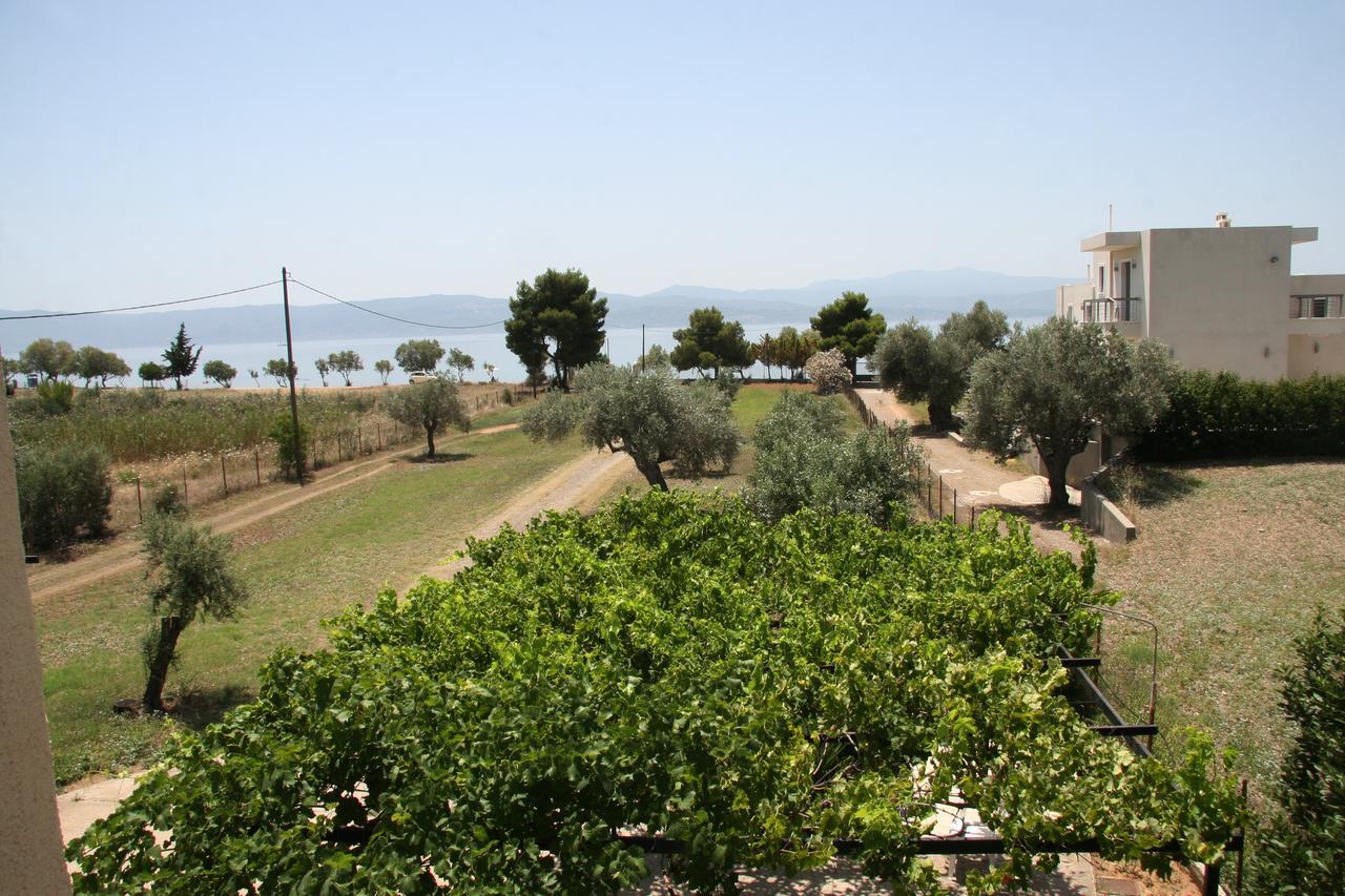 Villa Vlichos Amarynthos Exteriör bild