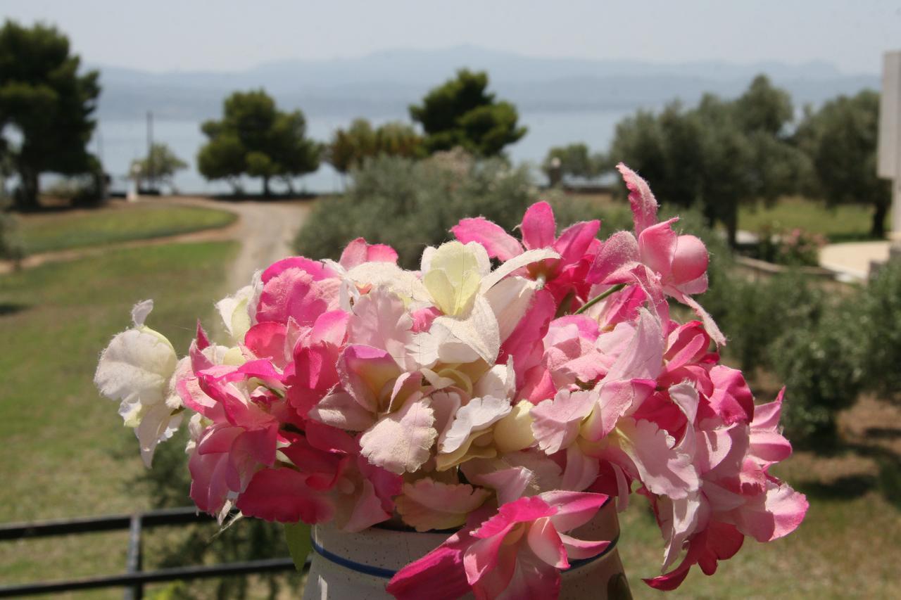 Villa Vlichos Amarynthos Exteriör bild