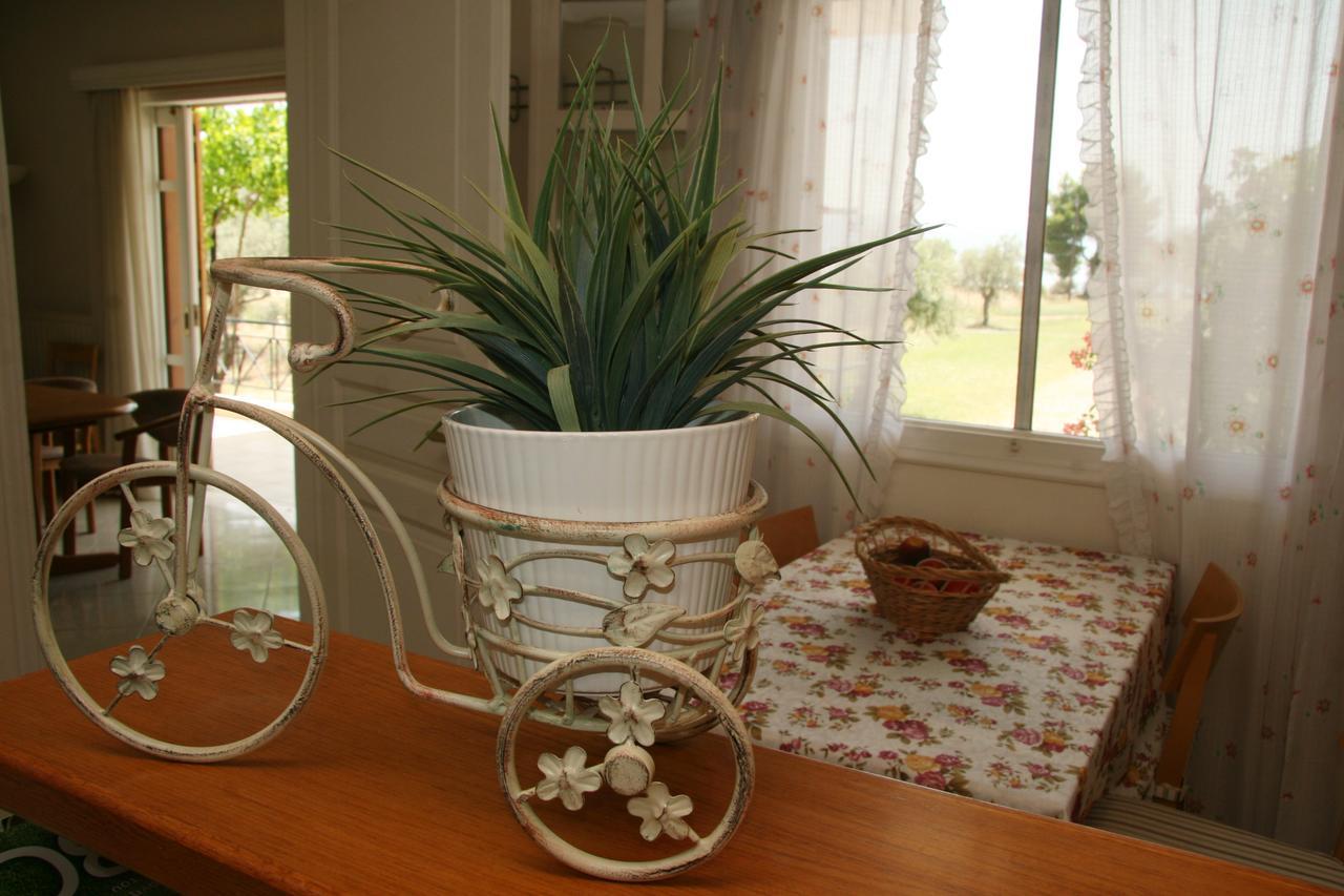 Villa Vlichos Amarynthos Exteriör bild