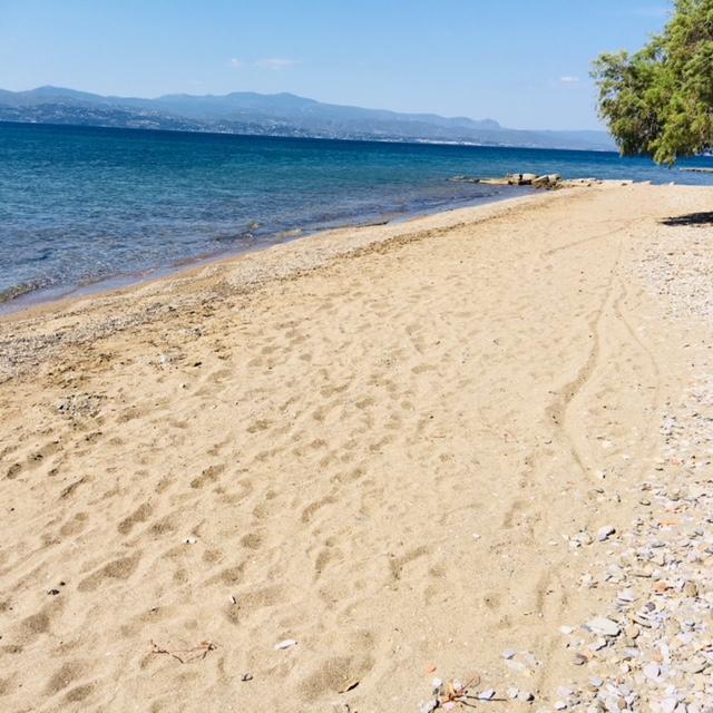 Villa Vlichos Amarynthos Exteriör bild